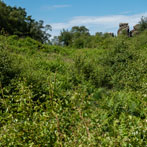 Birmham Rocks 